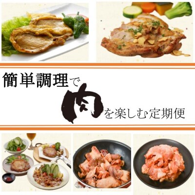 <定期便・全5回>肝付町セレクト定期便《簡単調理でお肉を楽しむ定期便》 D57003