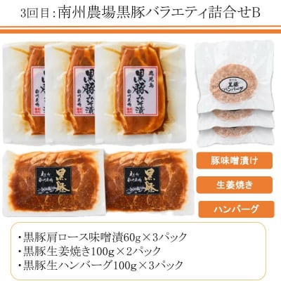 <定期便・全5回>肝付町セレクト定期便《簡単調理でお肉を楽しむ定期便》 D57003