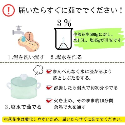 やぶさめとロケットの町!肝付町産　生落花生(約1kg×2袋)　A86002