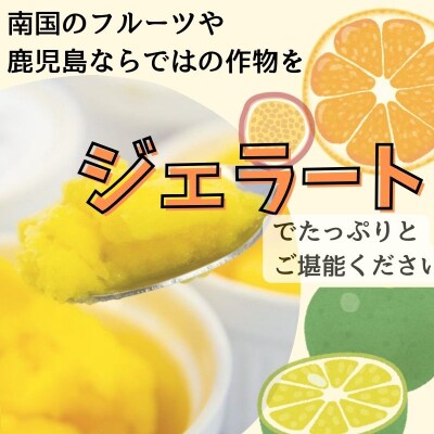 <先行受付>南のくだもの王国 かごしま フルーツジェラート 食べ比べ セット　A83003