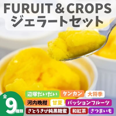  <先行受付>南のくだもの王国 南のFRUIT&CROPS ジェラート セット 　A83004