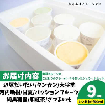  <先行受付>南のくだもの王国 南のFRUIT&CROPS ジェラート セット 　A83004