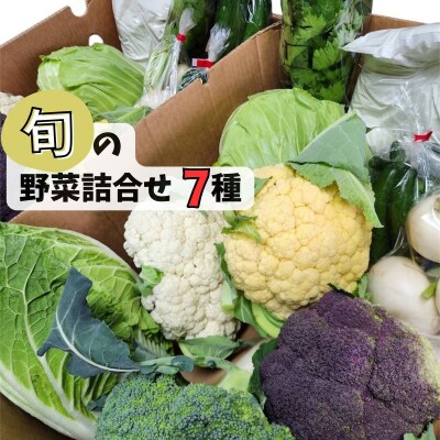 《数量限定》採れたて野菜詰合せ(7種)　P87001 