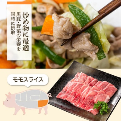  特選黒豚モモ・黒豚バラ・黒豚餃子セット 　A02045