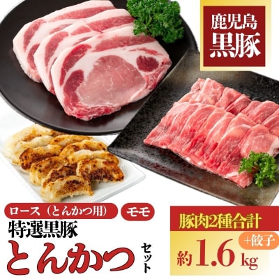 特選黒豚とんかつセット(計約1.6kg)、黒豚餃子(12個入×1P)付き!　B02077