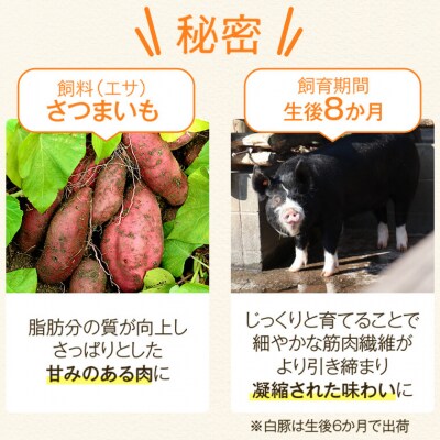 ふるさと黒豚セットA!黒豚餃子(12個入×3P)+干し芋(約80g)付き　B02078