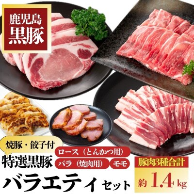 特選黒豚バラエティセット(約1.4kg)・黒豚焼豚2個付き　B02092