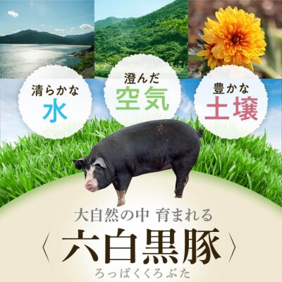 黒豚ふるさとセット<約1.6kg>+黒豚焼豚2個　B02099