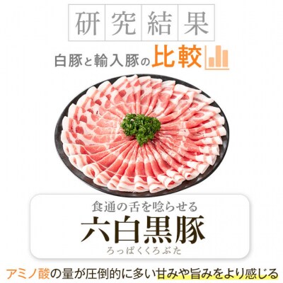 黒豚ふるさとセット<約1.6kg>+黒豚焼豚2個　B02099