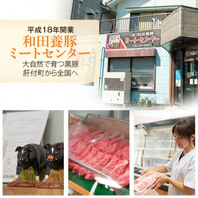 黒豚ふるさとセット<約1.6kg>+黒豚焼豚2個　B02099