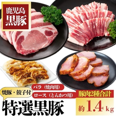 特選黒豚(計約1.4kg)  黒豚焼豚(約200g×2個) 黒豚餃子(12個入×1P)　B02091