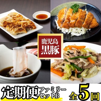 <定期便・全5回>『かごしま黒豚ふるさと定期便』ファミリーセットB　D02004