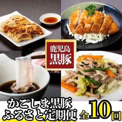  定期便・全10回　かごしま黒豚ふるさと定期便 バラエティーセットC　J02003