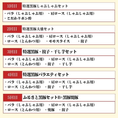  定期便・全10回　かごしま黒豚ふるさと定期便 バラエティーセットC　J02003
