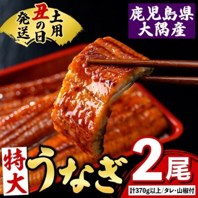  《土用丑の日までに発送!》特大うなぎ蒲焼(有頭)(2尾/計370g以上、タレ、山椒付　A57003