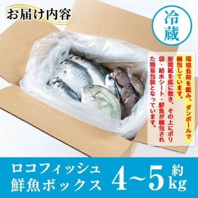 漁師厳選!ロコフィッシュ(地魚) 下処理済 鮮魚 ボックス(約4～5kg)　A78004