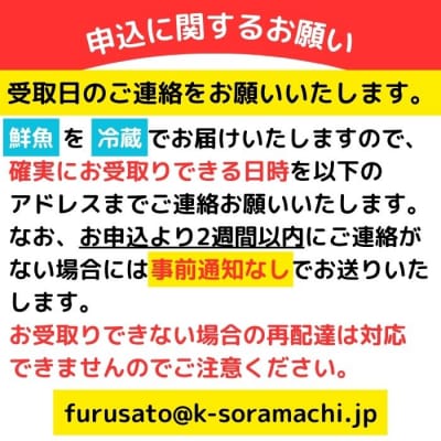 産地直送!辺塚だいだいカンパチ(約3.5kg・1本) 　B08002