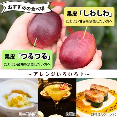 《先行受付》鹿児島県産 パッションフルーツ (約2.2kg・12玉入り2箱)　A68002