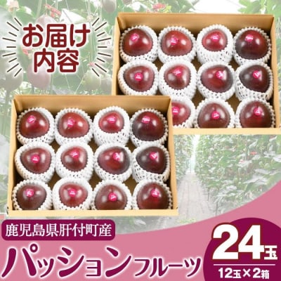 《期間限定》鹿児島県産 パッションフルーツ (約2.2kg・12玉入り2箱)　A68002