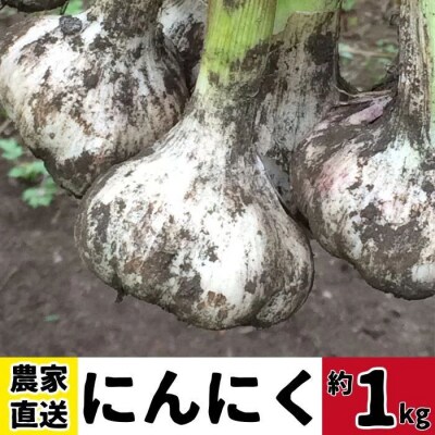 農家直送 鹿児島県産 にんにく(計1kg) 　A93001