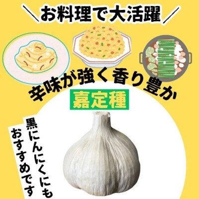 農家直送 鹿児島県産 にんにく(計1kg) 　A93001