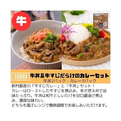 <定期便・全3回>肝付町セレクト定期便《肉だらけお試し定期便》 C90001 