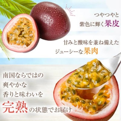 【数量限定】前村さんちの パッション フルーツ　約2.2kg　24個入　A52003