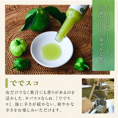 【先行受付中】ででこしょう&ででスコセット でで(辺塚だいだい)青果 約500g付　P60004