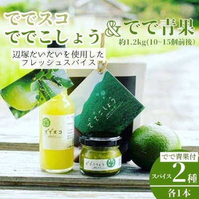 【先行受付中】ででこしょう&ででスコセット でで(辺塚だいだい)青果 約1.2kg付　A60002