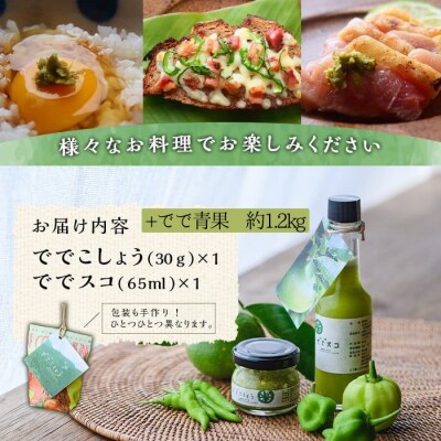 【先行受付中】ででこしょう&ででスコセット でで(辺塚だいだい)青果 約1.2kg付　A60002