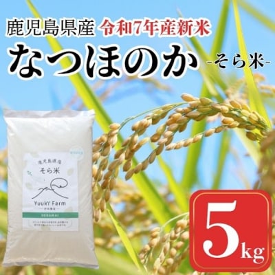 農家直送 令和7年産 新米 鹿児島県産 なつほのか 5kg　A93003