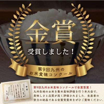 農家直送 令和7年産 新米 鹿児島県産 なつほのか 5kg　A93003
