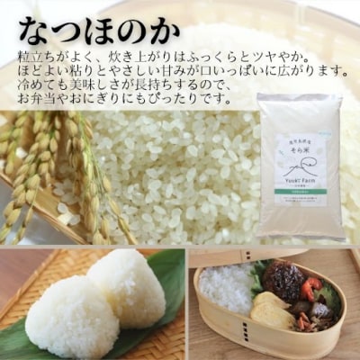 農家直送 令和7年産 新米 鹿児島県産 なつほのか 10kg　B93001 