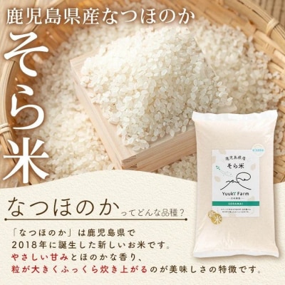 農家直送 令和7年産 新米 鹿児島県産 なつほのか 10kg　B93001 