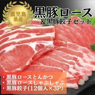 鹿児島県産黒豚ロース&餃子セット　B06001　