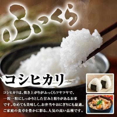 令和7年産 新米 鹿児島県産 コシヒカリ 5kg　A95001