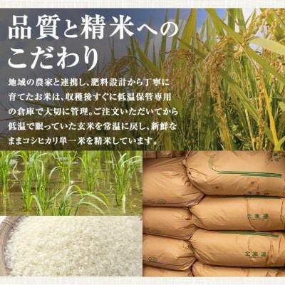 令和7年産  鹿児島県産 コシヒカリ 5kg　A95001