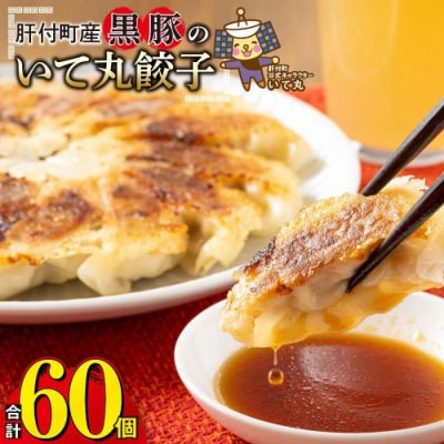 黒豚 餃子 合計60個(12個入×5P) タレ付き 国産野菜使用【財宝】　P43002