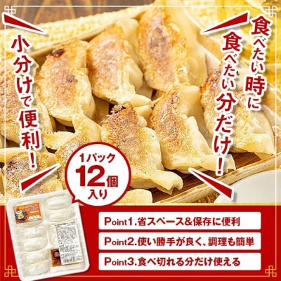 黒豚 餃子 合計60個(12個入×5P) タレ付き 国産野菜使用【財宝】　P43002