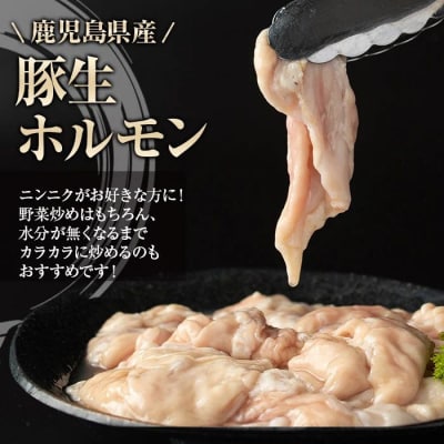 豚生ホルモン にんにく醤油味付 真空パック 小分け(約300g) 【肉のふくおか】　P79006