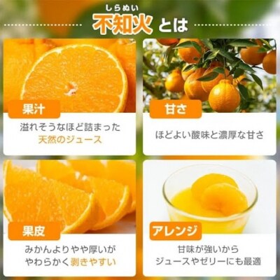 【先行受付】肝付町産不知火(しらぬい)　A18008