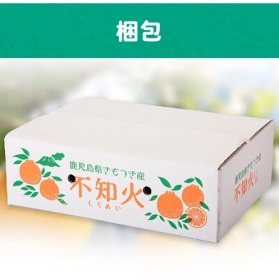 【先行受付】肝付町産不知火(しらぬい)　A18008