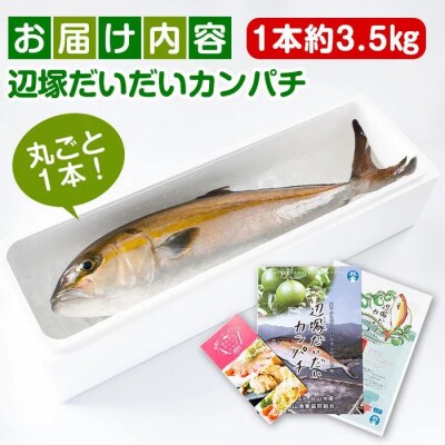 産地直送!辺塚だいだいカンパチ(約3.5kg・1本) 　B08002