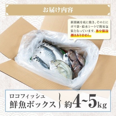 漁師厳選!ロコフィッシュ(地魚) 下処理済 鮮魚 ボックス(約4~5kg) A78004