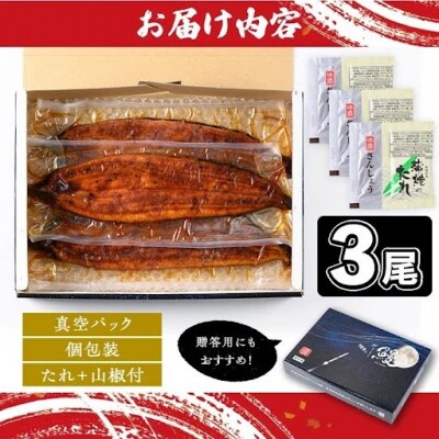 うなぎ蒲焼・大(有頭)(3尾・計480g以上、タレ、山椒付) 　B57002