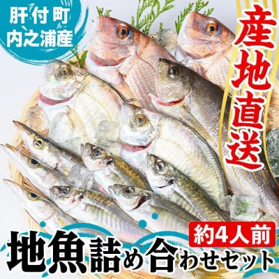 地魚詰め合わせセット(約4人分) 【マルケイ水産】　A09002