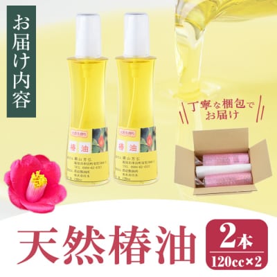 鹿児島県肝付町産椿オイル(120cc×2本)【横山砕石】　A62002