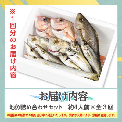 【3回定期便】魚屋さんの選んだ新鮮お魚詰め合わせ(約4人分)　C09002