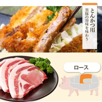 黒豚ふるさとセット(合計約2.3kg)黒豚餃子(12個入)付き 　B02080