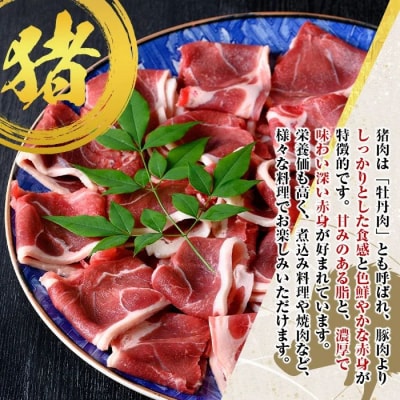 ≪先行受付≫1月～3月発送分　天然イノシシ肉(スライス・冷凍)約500g×2パック　A59004